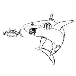 着色页: 鲨鱼 (动物) #14921 - 免费可打印着色页