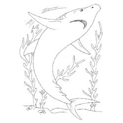 着色页: 鲨鱼 (动物) #14927 - 免费可打印着色页