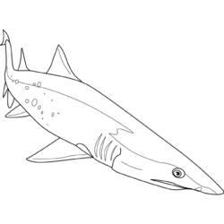 着色页: 鲨鱼 (动物) #14949 - 免费可打印着色页