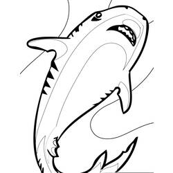 着色页: 鲨鱼 (动物) #14955 - 免费可打印着色页