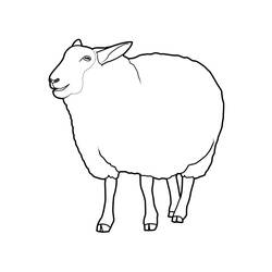 着色页: 羊 (动物) #11404 - 免费可打印着色页