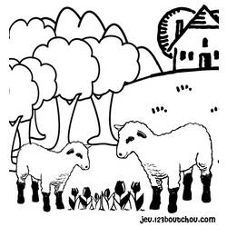 着色页: 羊 (动物) #11416 - 免费可打印着色页