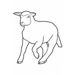 着色页: 羊 (动物) #11428 - 免费可打印着色页