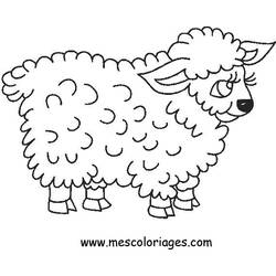 着色页: 羊 (动物) #11438 - 免费可打印着色页