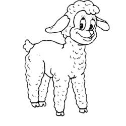 着色页: 羊 (动物) #11450 - 免费可打印着色页