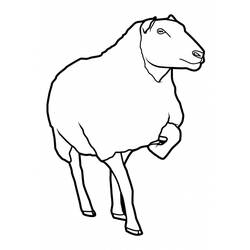 着色页: 羊 (动物) #11460 - 免费可打印着色页