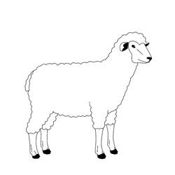 着色页: 羊 (动物) #11471 - 免费可打印着色页