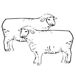 着色页: 羊 (动物) #11476 - 免费可打印着色页