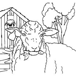 着色页: 羊 (动物) #11479 - 免费可打印着色页