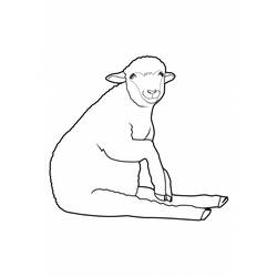 着色页: 羊 (动物) #11492 - 免费可打印着色页
