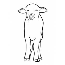 着色页: 羊 (动物) #11496 - 免费可打印着色页