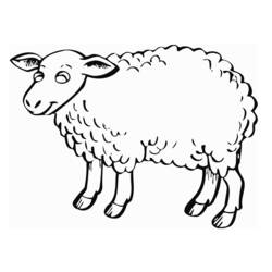 着色页: 羊 (动物) #11503 - 免费可打印着色页