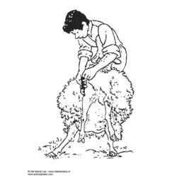 着色页: 羊 (动物) #11511 - 免费可打印着色页