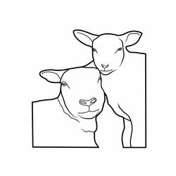着色页: 羊 (动物) #11514 - 免费可打印着色页