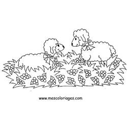 着色页: 羊 (动物) #11516 - 免费可打印着色页