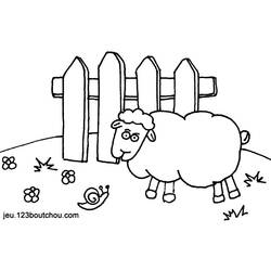 着色页: 羊 (动物) #11539 - 免费可打印着色页