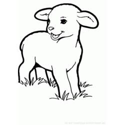 着色页: 羊 (动物) #11548 - 免费可打印着色页