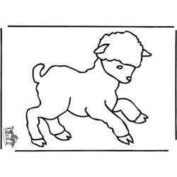 着色页: 羊 (动物) #11559 - 免费可打印着色页