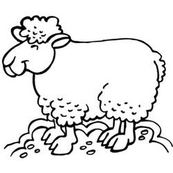 着色页: 羊 (动物) #11571 - 免费可打印着色页