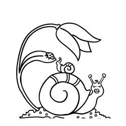 着色页: 蜗牛 (动物) #6526 - 免费可打印着色页