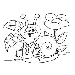 着色页: 蜗牛 (动物) #6528 - 免费可打印着色页