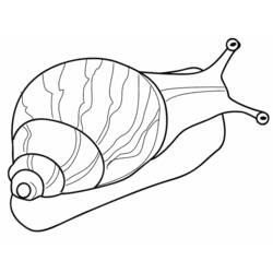着色页: 蜗牛 (动物) #6542 - 免费可打印着色页