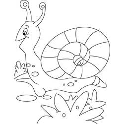 着色页: 蜗牛 (动物) #6590 - 免费可打印着色页