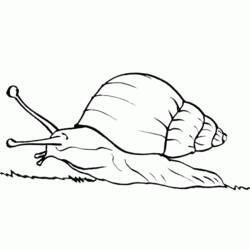 着色页: 蜗牛 (动物) #6613 - 免费可打印着色页