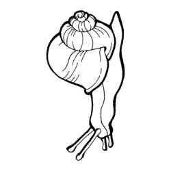 着色页: 蜗牛 (动物) #6630 - 免费可打印着色页