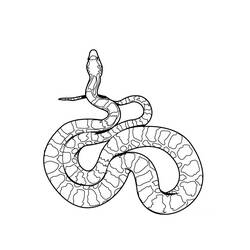 着色页: 蛇 (动物) #14337 - 免费可打印着色页