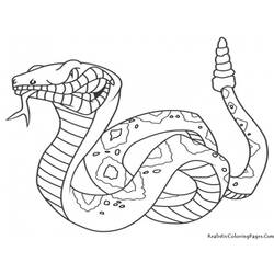 着色页: 蛇 (动物) #14342 - 免费可打印着色页