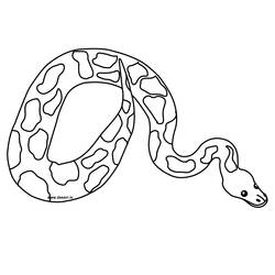 着色页: 蛇 (动物) #14352 - 免费可打印着色页