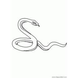 着色页: 蛇 (动物) #14365 - 免费可打印着色页