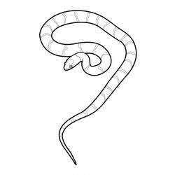 着色页: 蛇 (动物) #14410 - 免费可打印着色页