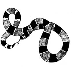 着色页: 蛇 (动物) #14426 - 免费可打印着色页