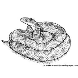 着色页: 蛇 (动物) #14428 - 免费可打印着色页