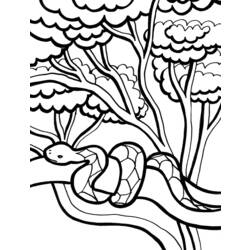着色页: 蛇 (动物) #14453 - 免费可打印着色页