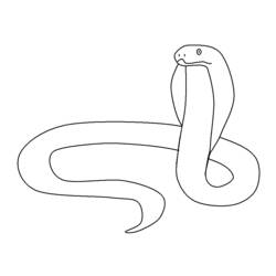着色页: 蛇 (动物) #14475 - 免费可打印着色页