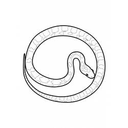 着色页: 蛇 (动物) #14482 - 免费可打印着色页