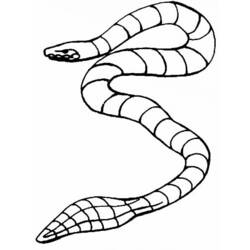 着色页: 蛇 (动物) #14512 - 免费可打印着色页