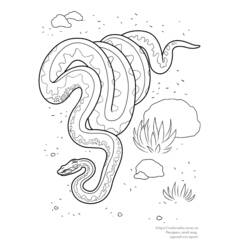 着色页: 蛇 (动物) #14529 - 免费可打印着色页
