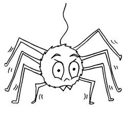 着色页: 蜘蛛 (动物) #585 - 免费可打印着色页