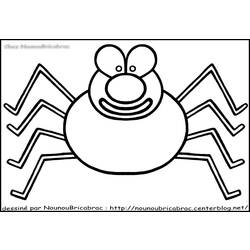 着色页: 蜘蛛 (动物) #592 - 免费可打印着色页