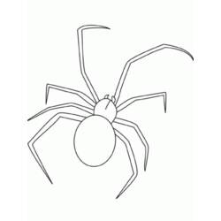 着色页: 蜘蛛 (动物) #613 - 免费可打印着色页