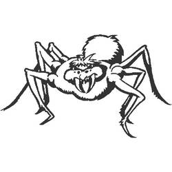 着色页: 蜘蛛 (动物) #635 - 免费可打印着色页