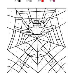 着色页: 蜘蛛 (动物) #658 - 免费可打印着色页