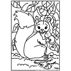 着色页: 松鼠 (动物) #6100 - 免费可打印着色页