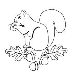 着色页: 松鼠 (动物) #6127 - 免费可打印着色页
