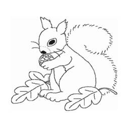 着色页: 松鼠 (动物) #6128 - 免费可打印着色页