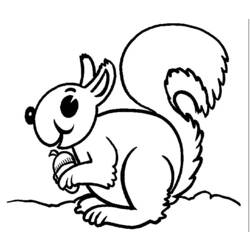 着色页: 松鼠 (动物) #6138 - 免费可打印着色页